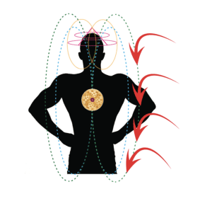 Nuclear Receptor at Promise Revealed 